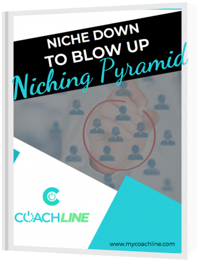 Niching Pyramid book cover